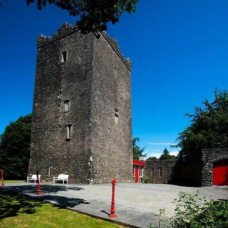 Ross Castle B&B Oldcastle Bagian luar foto