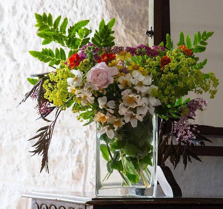 Ross Castle B&B Oldcastle Bagian luar foto