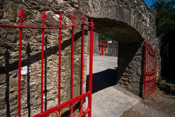 Ross Castle B&B Oldcastle Bagian luar foto