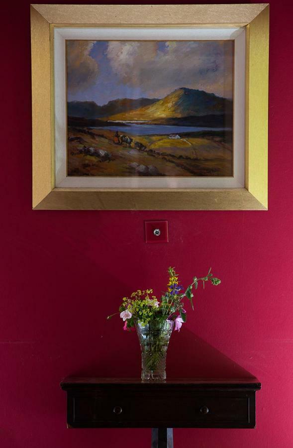 Ross Castle B&B Oldcastle Bagian luar foto
