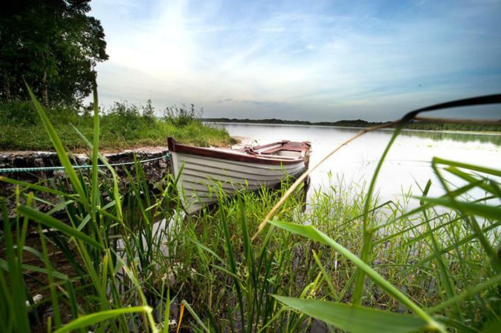 Ross Castle B&B Oldcastle Bagian luar foto