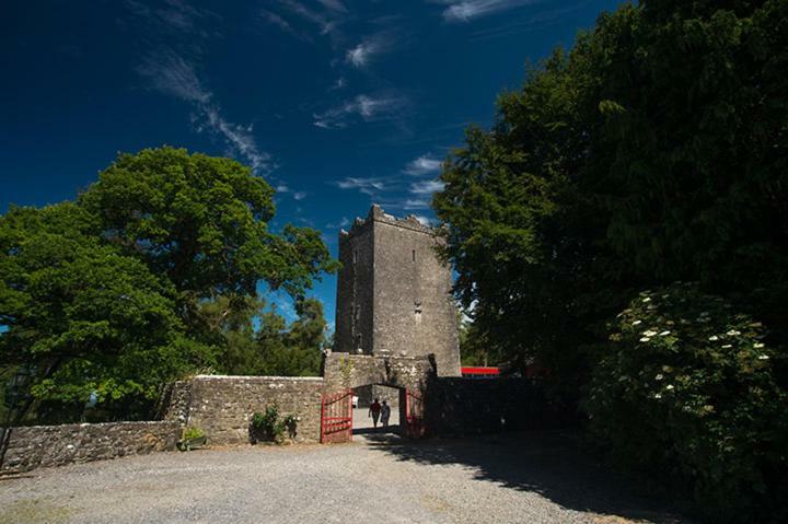 Ross Castle B&B Oldcastle Bagian luar foto