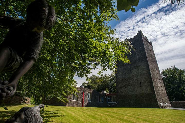 Ross Castle B&B Oldcastle Bagian luar foto