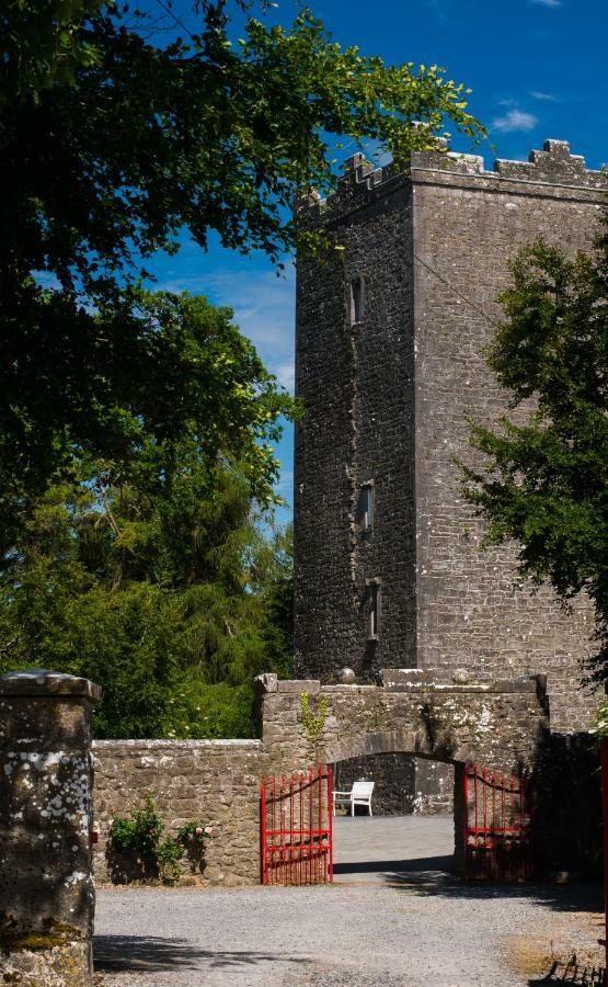 Ross Castle B&B Oldcastle Bagian luar foto